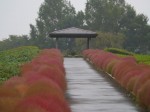 大宮花の丘農林公苑の写真のサムネイル写真15