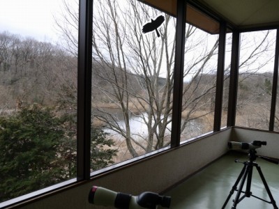 埼玉県自然学習センターの写真