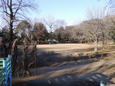 平塚公園の写真9