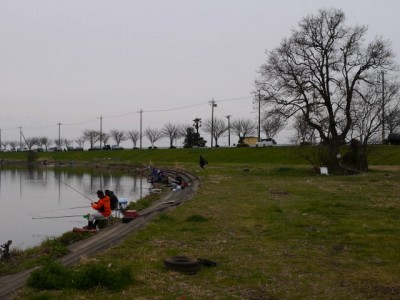 びん沼川の釣りの写真8