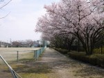 唐子中央公園の写真のサムネイル写真11