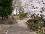 御伊勢塚公園の写真のサムネイル写真4