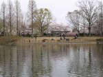 御伊勢塚公園の写真のサムネイル写真8