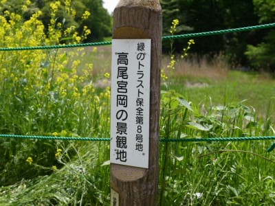 緑のトラスト保全八号地 高尾宮岡の景観地の写真