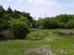緑のトラスト保全八号地 高尾宮岡の景観地の写真のサムネイル写真5