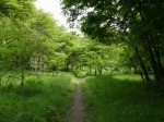 緑のトラスト保全八号地 高尾宮岡の景観地の写真のサムネイル写真11