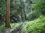 金鑚コース（神川町ハイキングコース）の写真のサムネイル写真11
