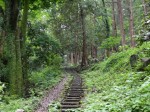 金鑚コース（神川町ハイキングコース）の写真のサムネイル写真15