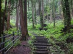 金鑚コース（神川町ハイキングコース）の写真のサムネイル写真27