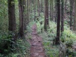 金鑚コース（神川町ハイキングコース）の写真のサムネイル写真88