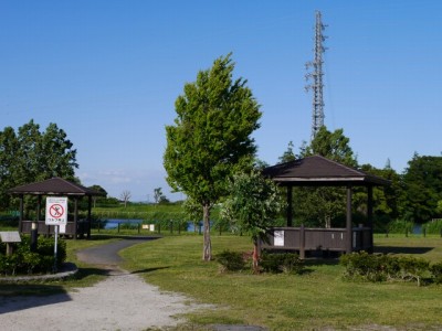 高須賀池公園の写真