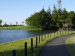 高須賀池公園の写真のサムネイル写真14