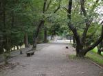 宇和田公園の写真のサムネイル写真17