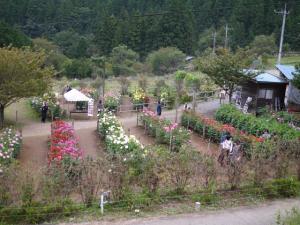 両神山麓 花の郷 ダリア園の写真