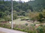 両神山麓 花の郷 ダリア園の写真のサムネイル写真2