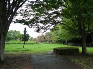 寺前公園（加須市）の写真5