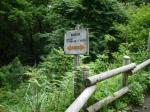 埼玉県 県民の森の写真のサムネイル写真7