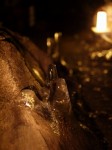 溶岩隧道御胎内の写真のサムネイル写真4