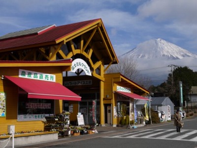 富士ミルクランドの写真22