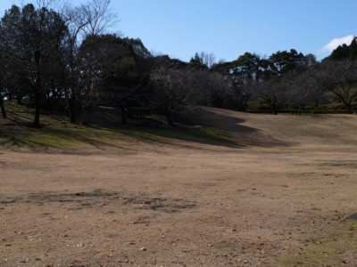 岩本山公園の写真