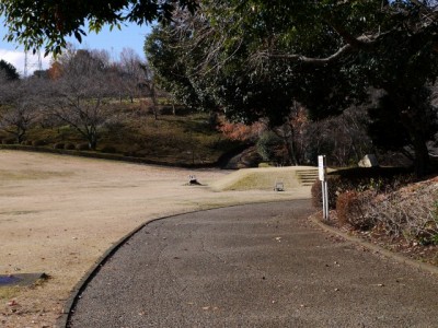 岩本山公園の写真3