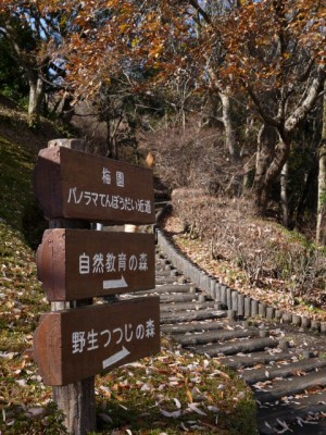 岩本山公園の写真6