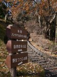 岩本山公園の写真のサムネイル写真5
