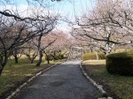 岩本山公園の写真のサムネイル写真7