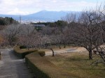 岩本山公園の写真のサムネイル写真9