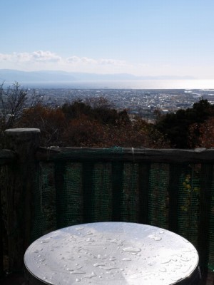 岩本山公園の写真13