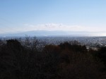 岩本山公園の写真のサムネイル写真15