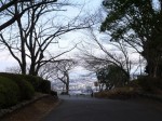 岩本山公園の写真のサムネイル写真19