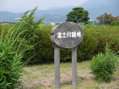 富士川緑地公園の写真