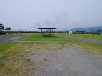 富士川緑地公園の写真4