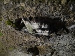 室岩洞の写真のサムネイル写真32