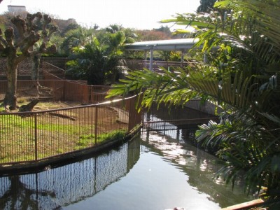 熱川バナナワニ園の写真10