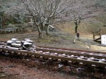 姫の沢公園の写真のサムネイル写真3