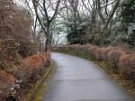 姫の沢公園の写真のサムネイル写真6