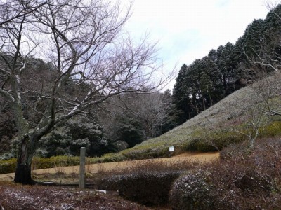 姫の沢公園の写真9