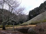 姫の沢公園の写真のサムネイル写真8