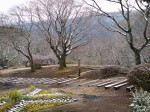 姫の沢公園の写真のサムネイル写真9