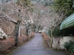 姫の沢公園の写真のサムネイル写真10