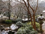 姫の沢公園の写真のサムネイル写真15