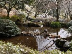 姫の沢公園の写真のサムネイル写真16