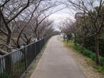 河津川遊歩道の写真のサムネイル写真1