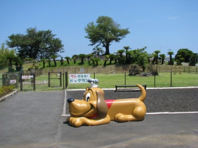 伊豆ぐらんぱる公園の写真24