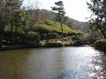 小室山公園の写真のサムネイル写真3