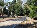 小室山公園つばき園の写真のサムネイル写真2
