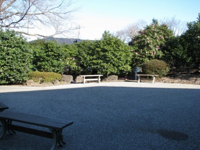 小室山公園つばき園の写真7
