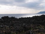 城ヶ崎海岸自然研究路コースの写真のサムネイル写真15